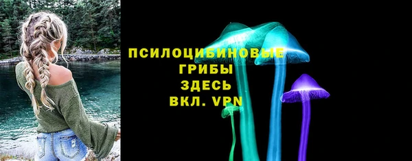 хмурый Аркадак