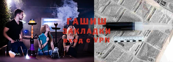 хмурый Аркадак