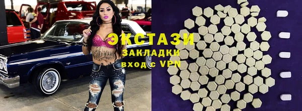 хмурый Аркадак