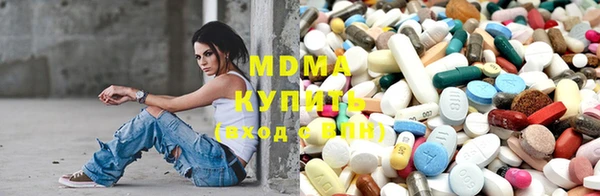 хмурый Аркадак