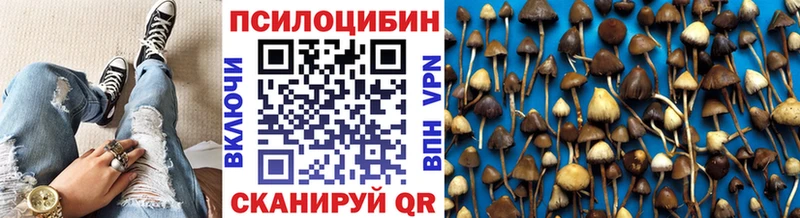 Псилоцибиновые грибы мухоморы  Барыш 